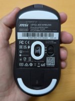 PXL_20260611_110330299.jpg